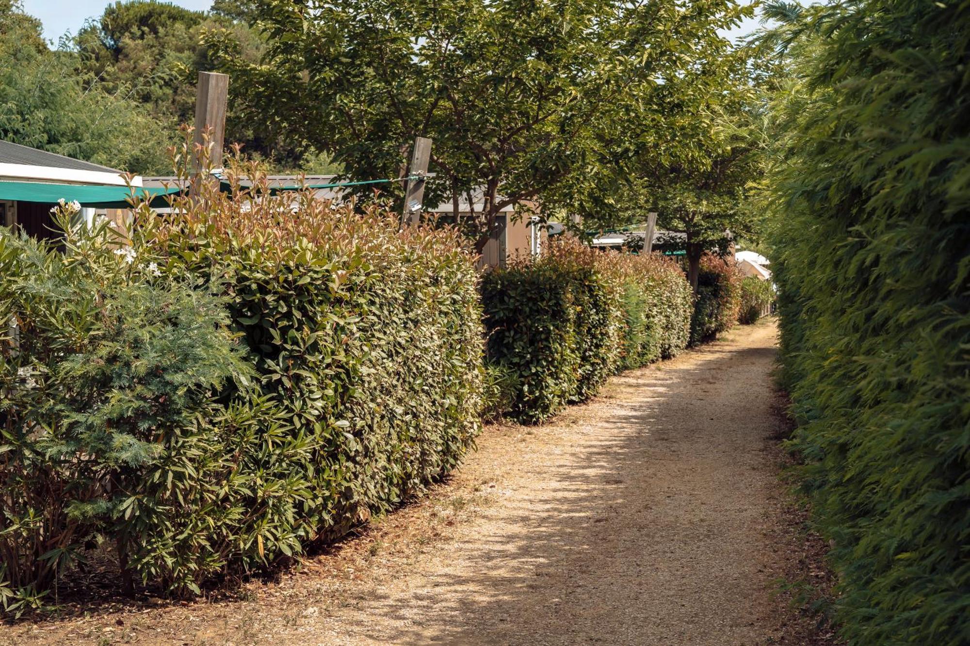 Domaine De Verdagne Gassin Luaran gambar